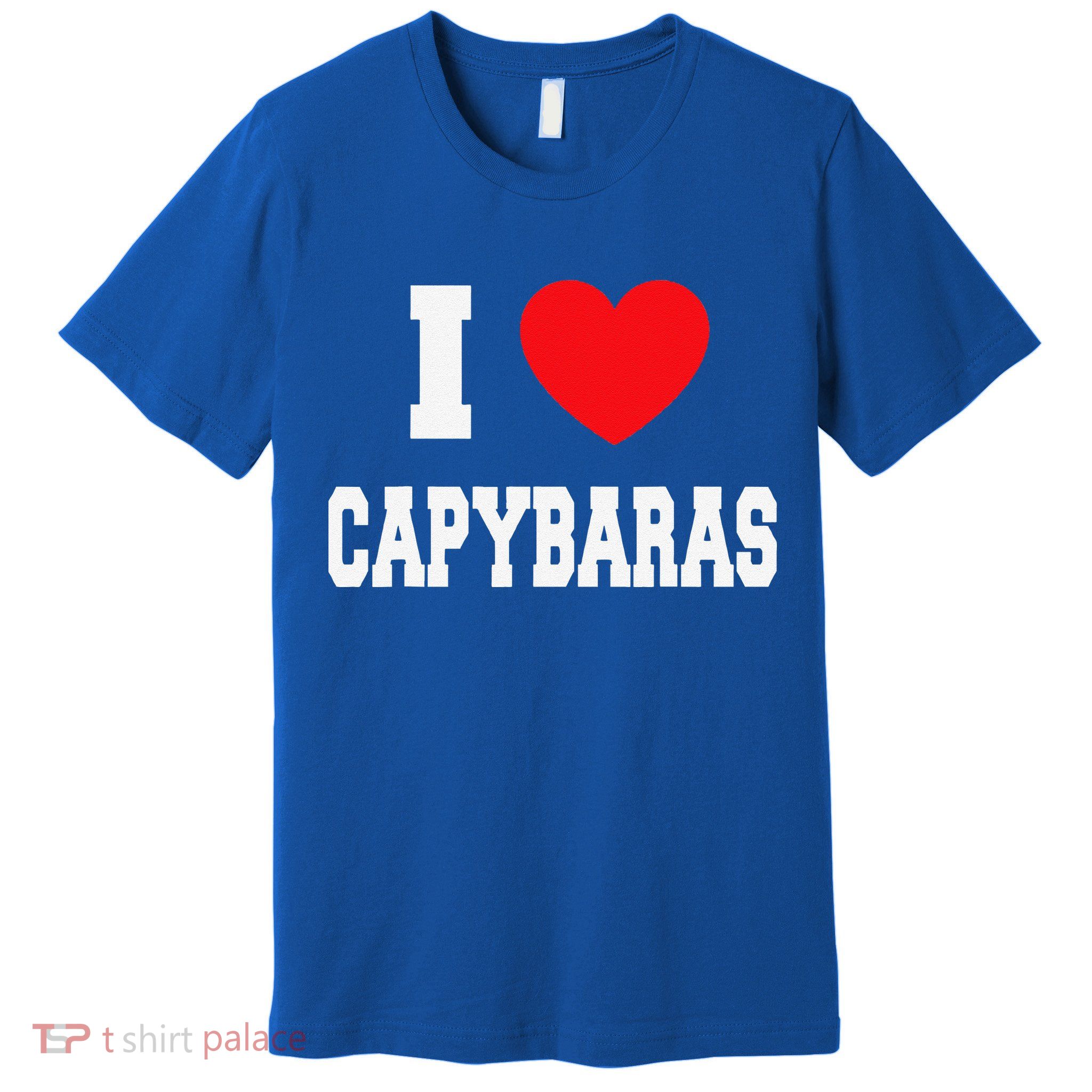 I Love Capybaras Premium T-Shirt