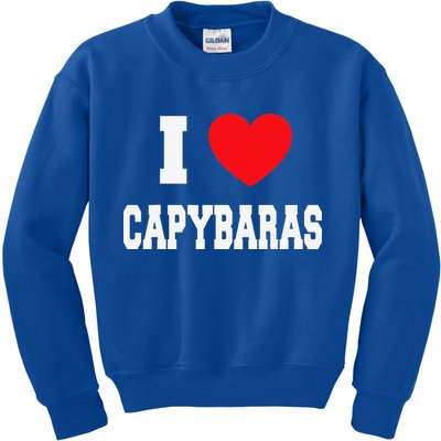 I Love Capybaras Kids Sweatshirt