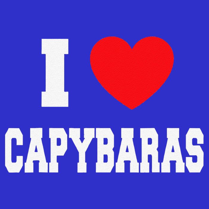 I Love Capybaras Zip Tote Bag