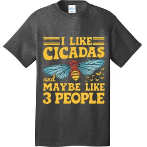 I Like Cicadas And Maybe Like 3 People Cicada Insect Lover T-Shirt