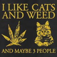 I Like Cats And Weed And Maybe 3 People Microfiber Hand Towel