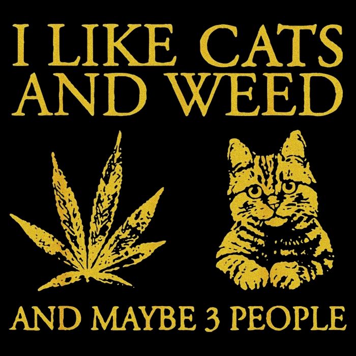 I Like Cats And Weed And Maybe 3 People Cropped Pullover Crew