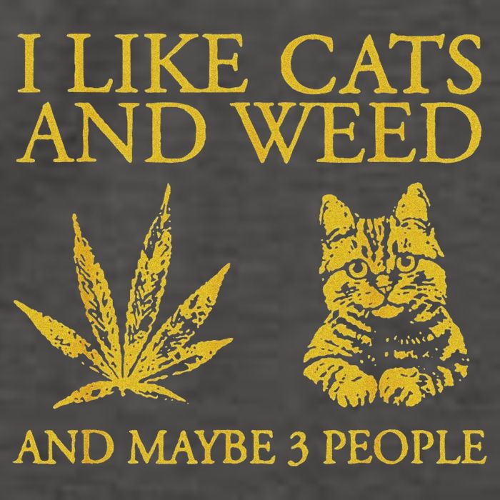 I Like Cats And Weed And Maybe 3 People Vector Backpack