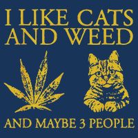 I Like Cats And Weed And Maybe 3 People Bucket Hat