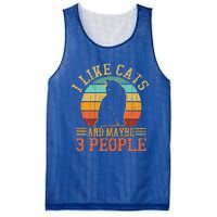 I Like Cats And Maybe 3 People Funny Cat Lover Mesh Reversible Basketball Jersey Tank