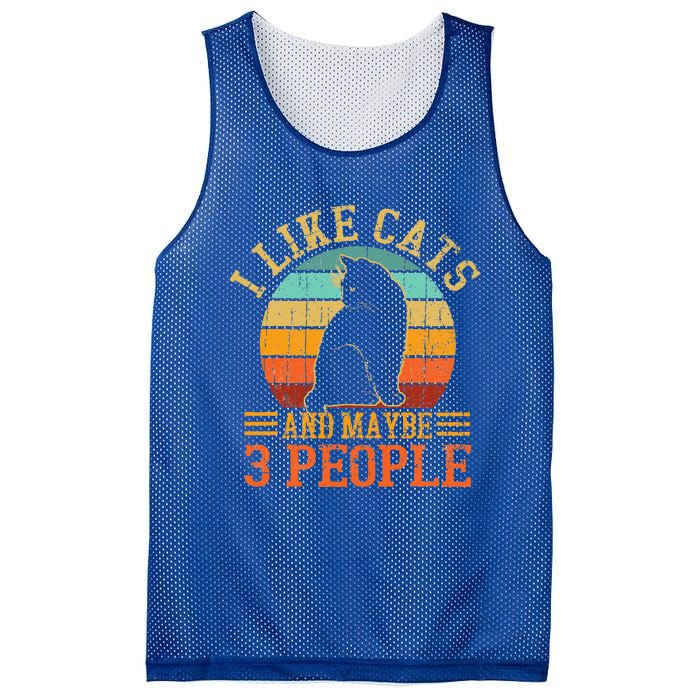 I Like Cats And Maybe 3 People Funny Cat Lover Mesh Reversible Basketball Jersey Tank