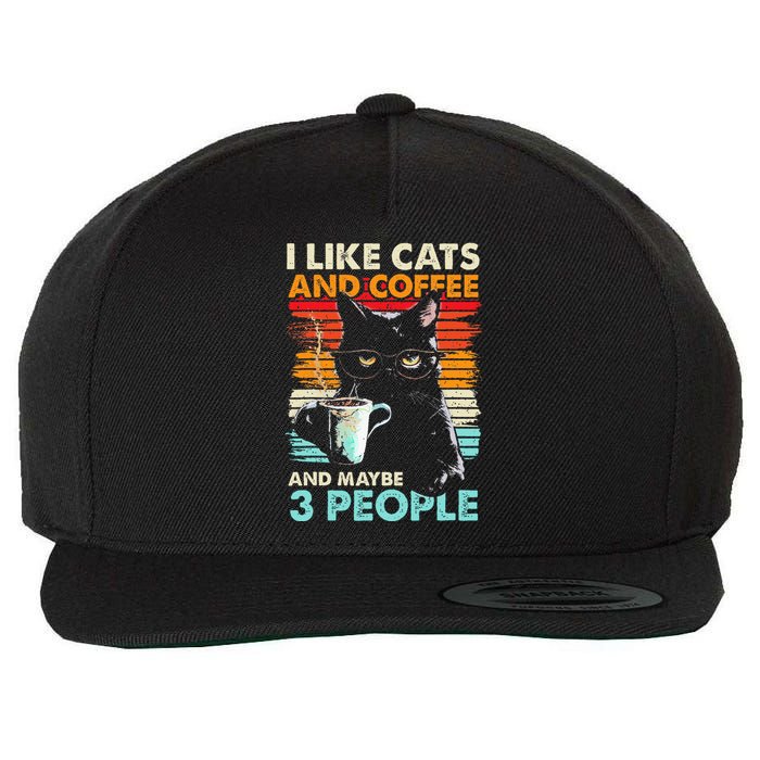 I Like Cats And Coffee And Maybe 3 People Funny Love Cat Wool Snapback Cap