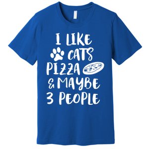 I Like Cats Pizza And Maybe 3 People Funny Sarcasm Love Cats Gift Premium T-Shirt