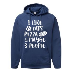 I Like Cats Pizza And Maybe 3 People Funny Sarcasm Love Cats Gift Performance Fleece Hoodie