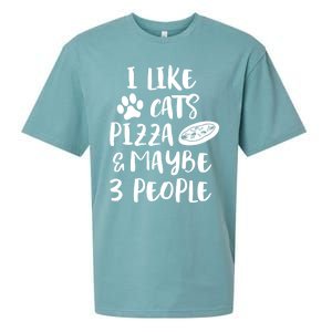 I Like Cats Pizza And Maybe 3 People Funny Sarcasm Love Cats Gift Sueded Cloud Jersey T-Shirt