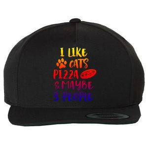 I Like Cats Pizza And Maybe 3 People Funny Sarcasm Mom Gift Wool Snapback Cap