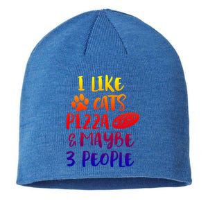 I Like Cats Pizza And Maybe 3 People Funny Sarcasm Mom Gift Sustainable Beanie