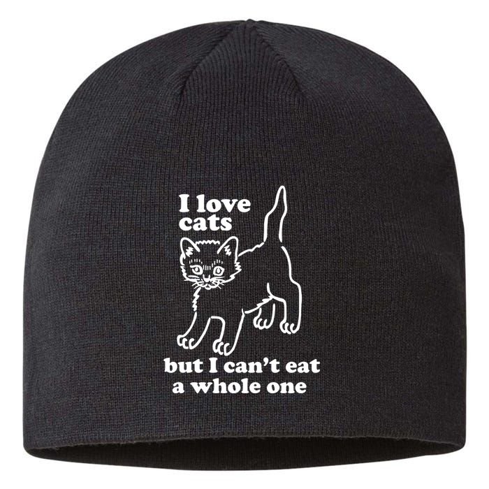 I Love Cats But I CanT Eat A Whole One Sustainable Beanie