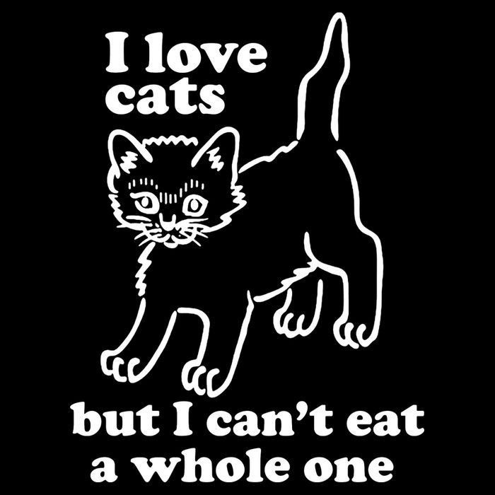I Love Cats But I CanT Eat A Whole One 16 in Basic Backpack