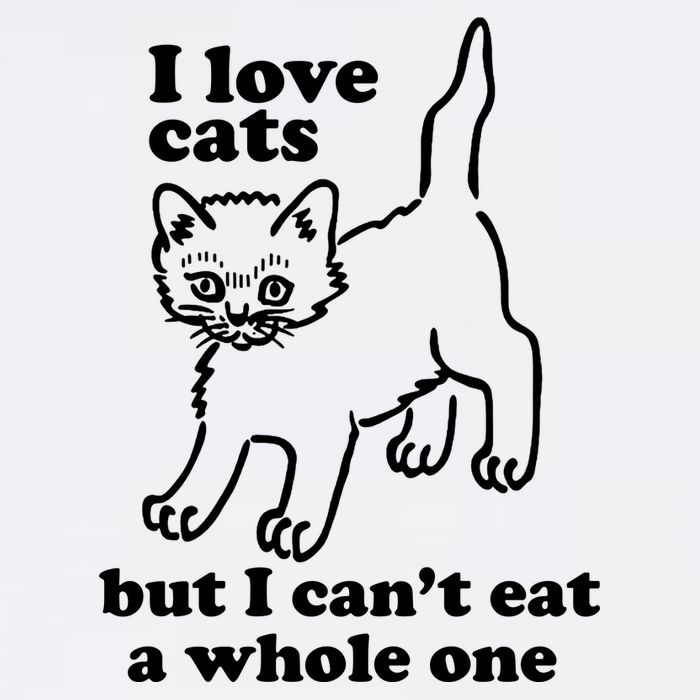 I Love Cats But I CanT Eat A Whole One T-Shirt