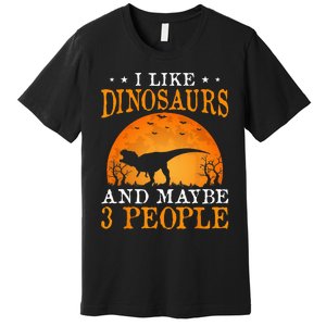 I Like Dinosaurs And Maybe 3 People Premium T-Shirt