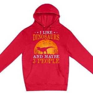 I Like Dinosaurs And Maybe 3 People Premium Pullover Hoodie