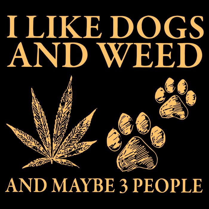 I Like Dogs And Weed And Maybe 3 People 420 Day Cannabis 16 in Basic Backpack