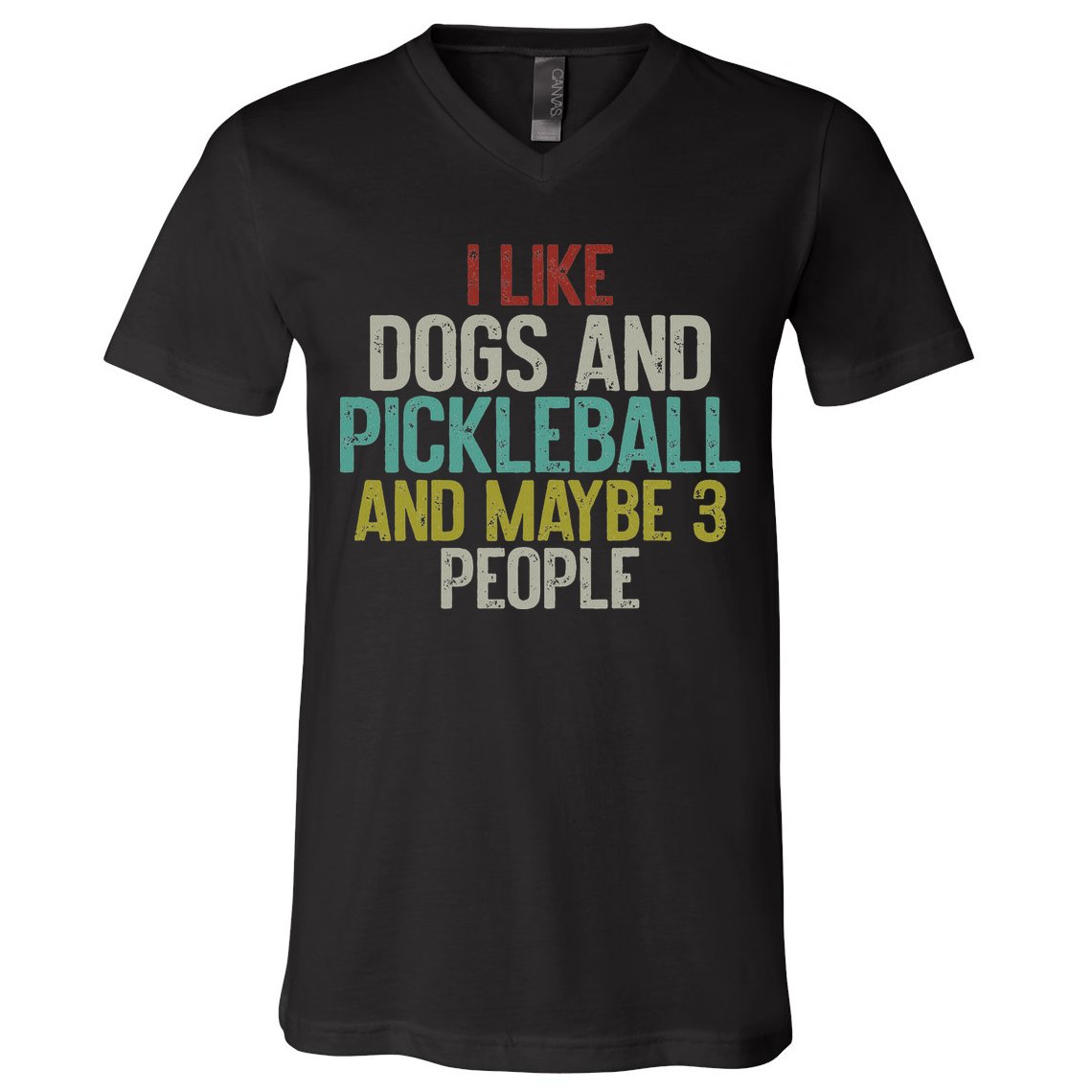 I Like Dogs And Pickleball And Maybe 3 People V-Neck T-Shirt