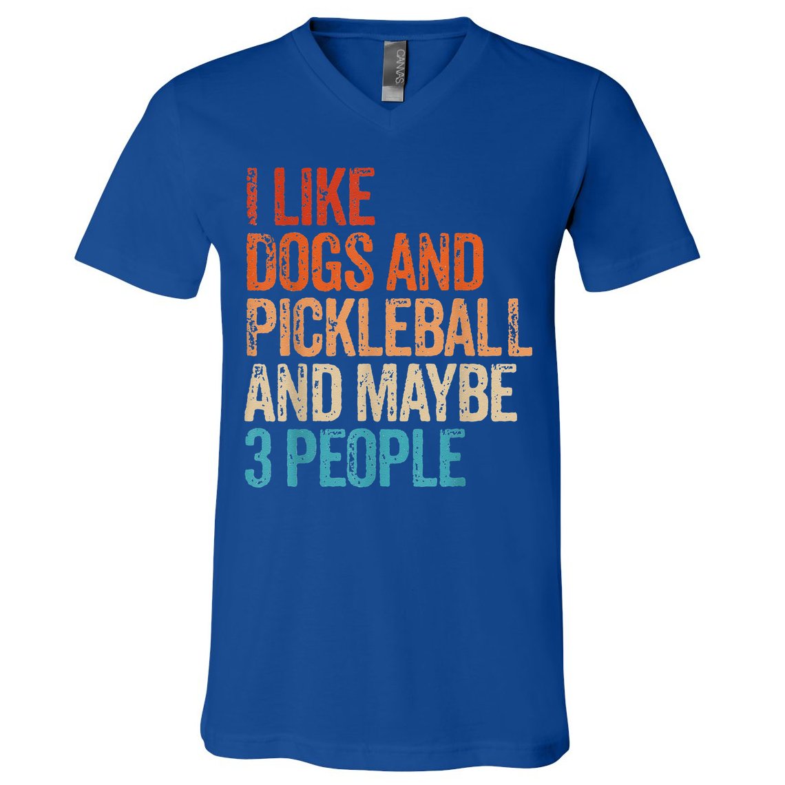 I Like Dogs Pickleball And Maybe 3 People Vintage V-Neck T-Shirt