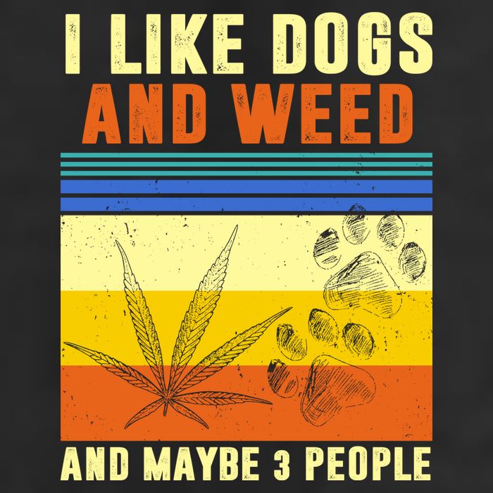 I Like Dogs And Weed And Maybe 3 People Adult Drive Performance Visor