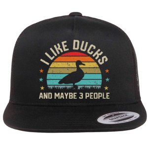 I Like Ducks & Maybe 3 People Sarcastic Duck Animal Lover Flat Bill Trucker Hat