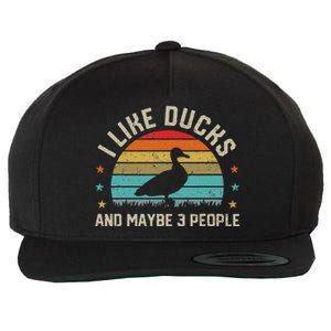 I Like Ducks & Maybe 3 People Sarcastic Duck Animal Lover Wool Snapback Cap