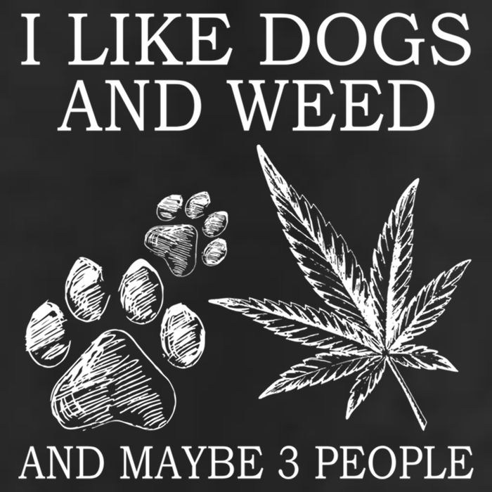 I Like Dogs And Weed And Maybe 3 People Great Gift 7 Panel Mesh Trucker Snapback Hat