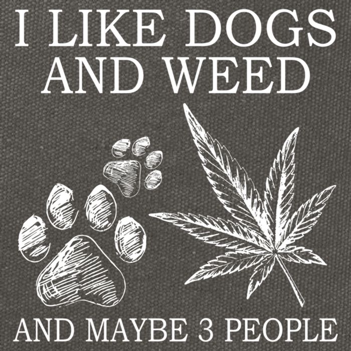 I Like Dogs And Weed And Maybe 3 People Great Gift Cotton Canvas Backpack
