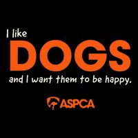 I Like Dogs Button
