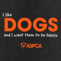 I Like Dogs Adult Drive Performance Visor