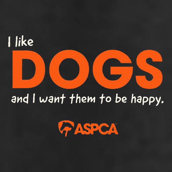 I Like Dogs Adult Drive Performance Visor