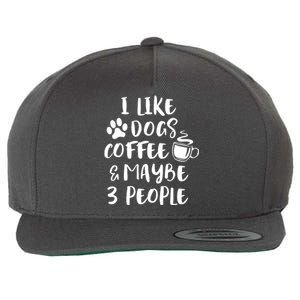 I LIKE DOGS COFFEE MAYBE 3 PEOPLE Funny Sarcastic Dog Mom Wool Snapback Cap