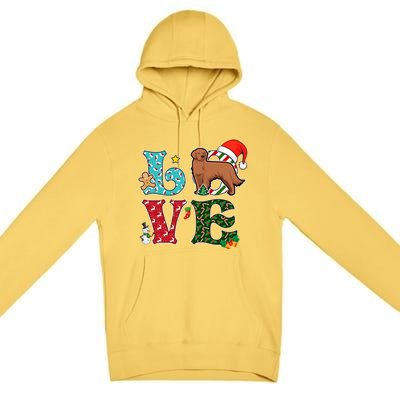 I Love Dog Retriever Christmas Gift Premium Pullover Hoodie