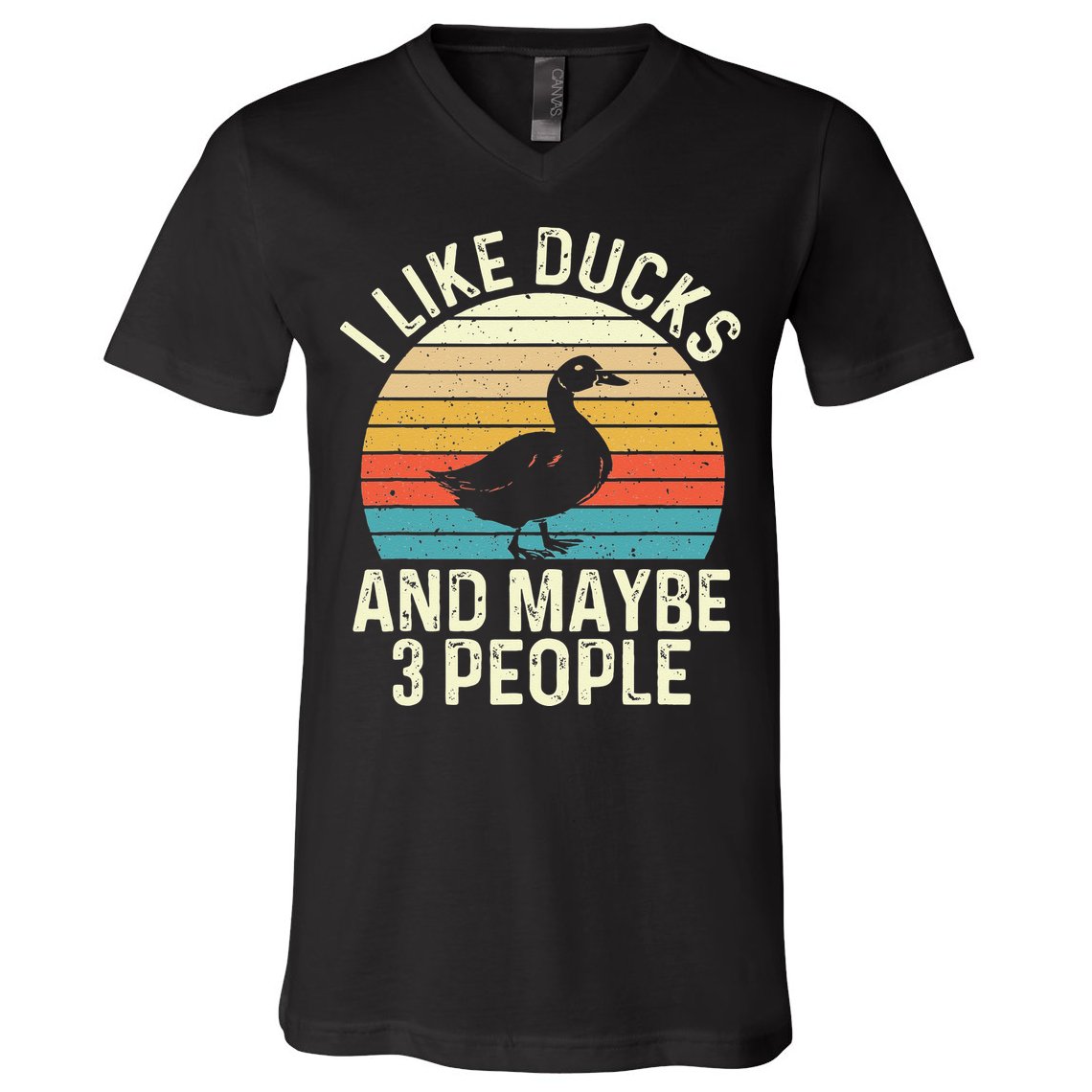 I Like Ducks And Maybe 3 People Duck Lover V-Neck T-Shirt