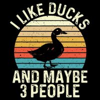 I Like Ducks And Maybe 3 People Duck Lover Button