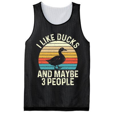 I Like Ducks And Maybe 3 People Duck Lover Mesh Reversible Basketball Jersey Tank