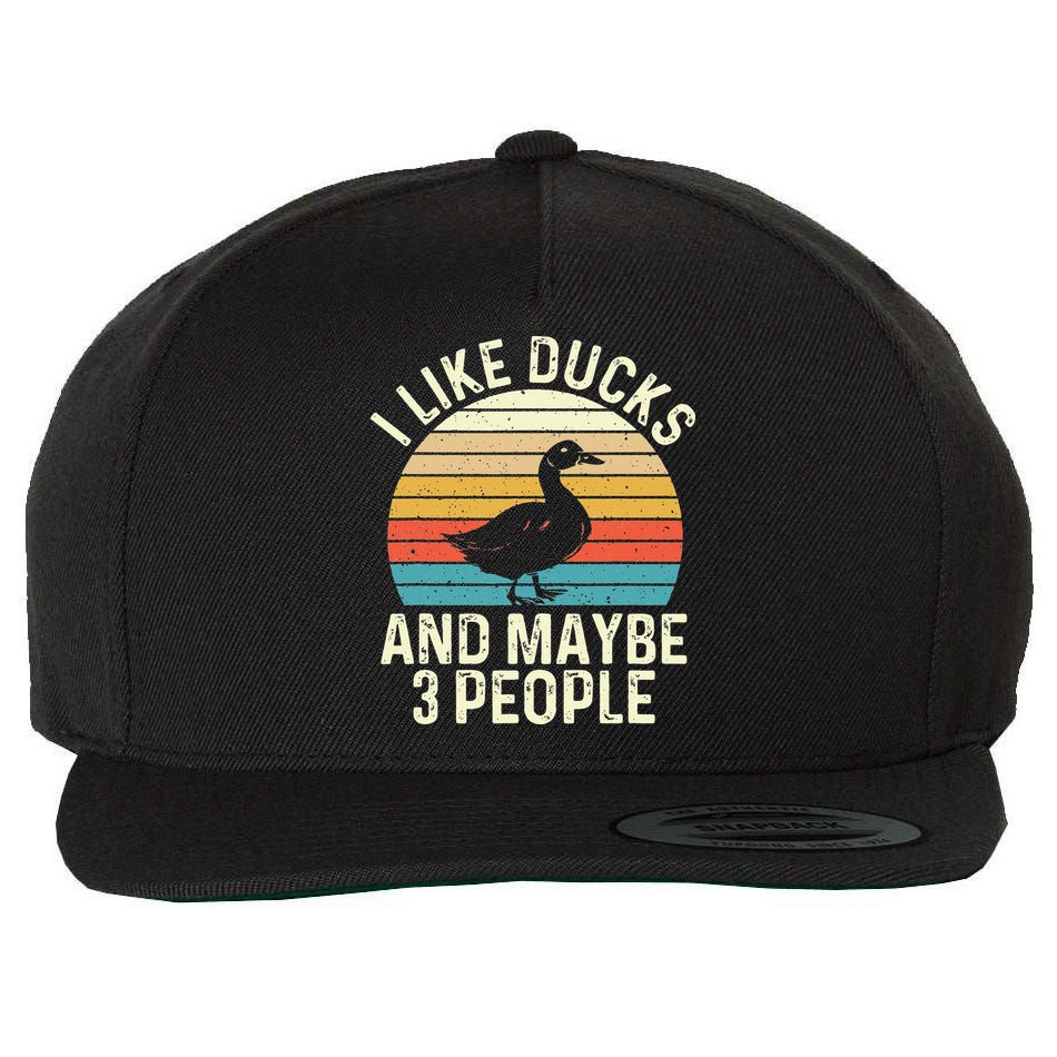 I Like Ducks And Maybe 3 People Duck Lover Wool Snapback Cap