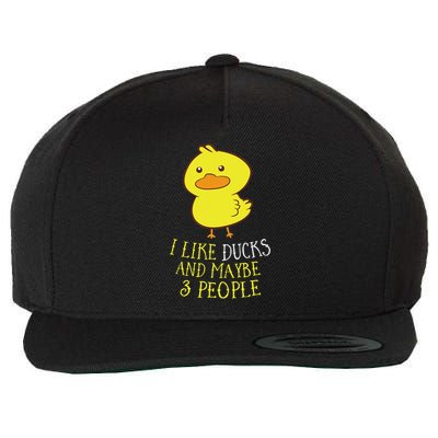 I Like Ducks And Maybe 3 People Funny Ducks Lover Wool Snapback Cap