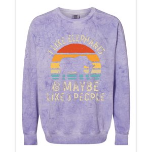 I Like Elephants And Maybe Like 3 People Elephant Retro Colorblast Crewneck Sweatshirt