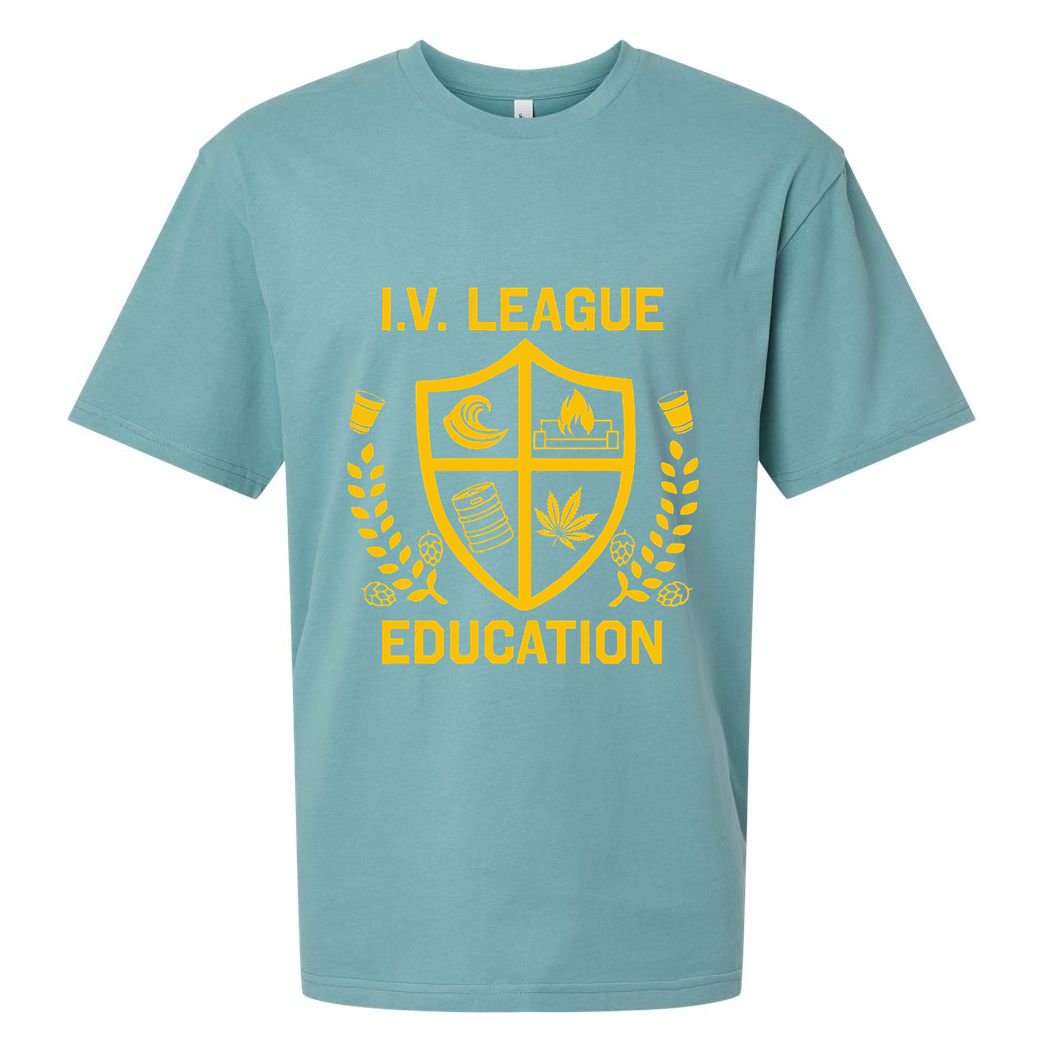 Iv League Education I Partied In Isla Vista Sueded Cloud Jersey T-Shirt