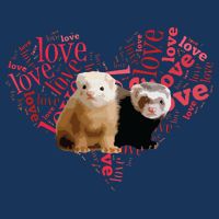 I Love Ferrets Heart Shaped Ferret Lover Gift 7 Panel Mesh Trucker Snapback Hat