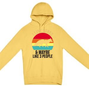 I Like Foxes And Maybe Like 3 People Funny Premium Pullover Hoodie