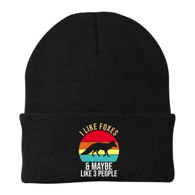 I Like Foxes And Maybe Like 3 People Funny Beanie