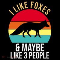 I Like Foxes And Maybe Like 3 People Funny Cropped Pullover Crew