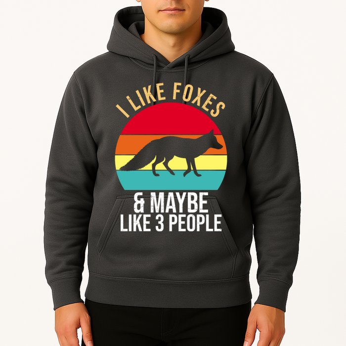 I Like Foxes And Maybe Like 3 People Funny Hoodie