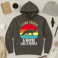 I Like Foxes And Maybe Like 3 People Funny Hoodie