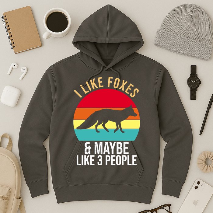 I Like Foxes And Maybe Like 3 People Funny Hoodie