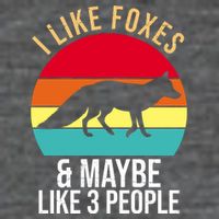 I Like Foxes And Maybe Like 3 People Funny T-Shirt