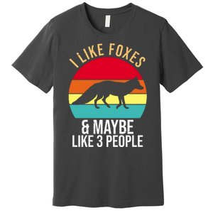 I Like Foxes And Maybe Like 3 People Funny Premium T-Shirt